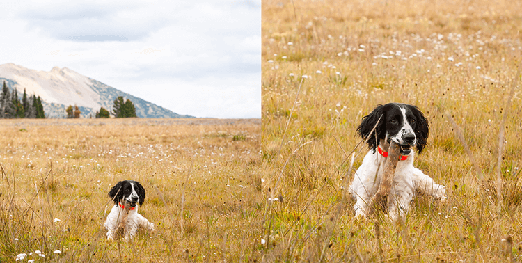 améliorer photos abimées